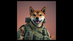 Doge Military Academy!