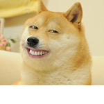 D0G GR0UP