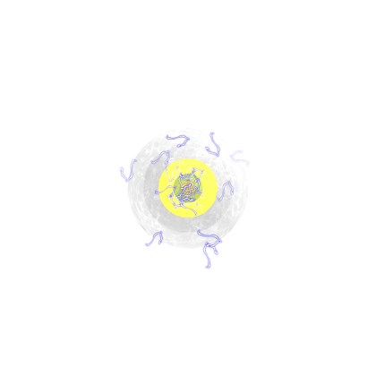 The Orb