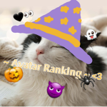 ~ Avatar Ranking ~ <3