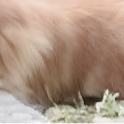 ✧
