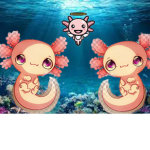 - Axolotl’s Angels -