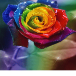 Rose the unicorn