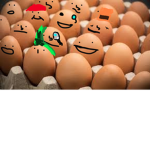 The Egg Researchers