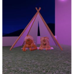 The Friend Times
