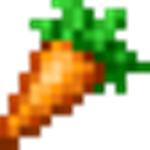 Carrot math