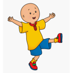 the caillou foundation