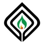 Big Cheddar Oil [RL:RP]