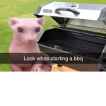 hornetsig