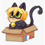 Kitty Kat for life