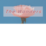 The Wonders <3