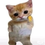 naughty kittens <3