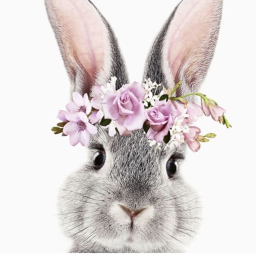 🌸