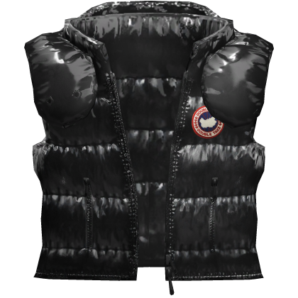 ⭐4.0 BOY | Shiny Goose Vest W Hood thumbnail