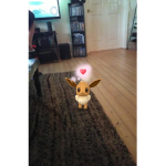 Pokemonnň