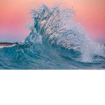 The OddFaceOcean Group