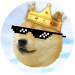 The Official Doge Civilization