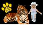 Baby_tigerz