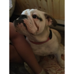 Lola Forever