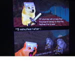 A cool dog group