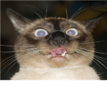 OMG Empire
