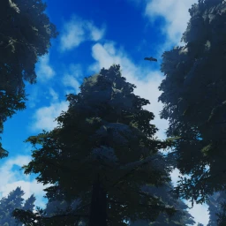 Realistic Forest (🏕) icon