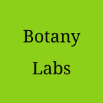 Botany Labs.