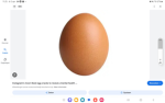 THE RISE OF THE EGGS