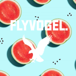 FlyVogel