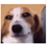 Goofy oof.