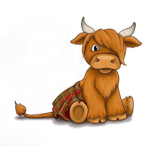 High Land Cow