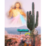 Cactus s - s