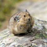 Ham Milton Association for Winners Group Thumbnail