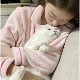 ♡﹗