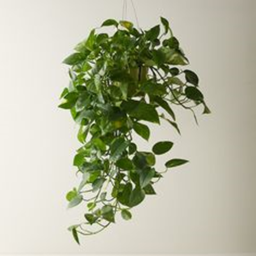 💚my