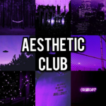 ×Aesthetic Club×
