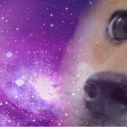 👻 Space Doge
