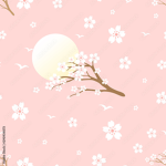 ∾|Beautiful Blossoms|∾