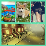 ❂Photographers Of Roblox ❂
