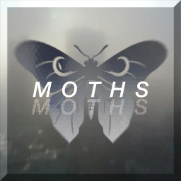 Moths icon