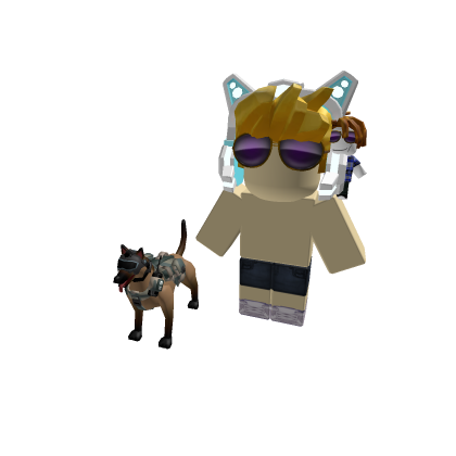 Shoulder pet