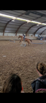 À. cheval!