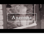 anemoia clothing </3
