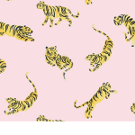 Finley’s clothing