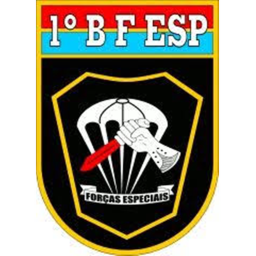 1° Batalhão da Forças Especiais [1°BFESP] | Treino