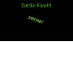 Turtle Fam!!!