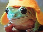 •Frog • Army•