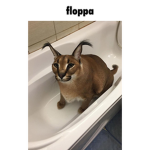 Floppa word