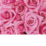 ~Rosesred~