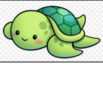 The Only Turtle Squadd
